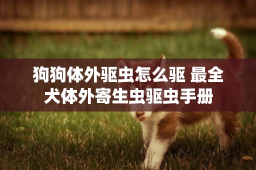 狗狗體外驅蟲怎么驅 最全犬體外寄生蟲驅蟲手冊