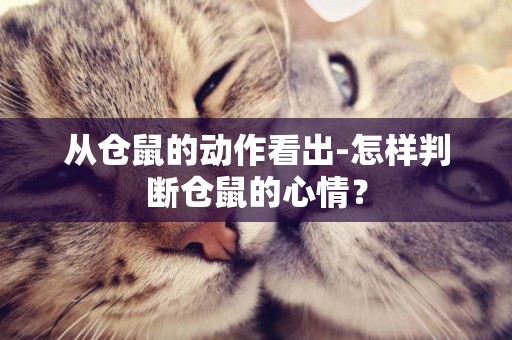 從倉鼠的動作看出-怎樣判斷倉鼠的心情？