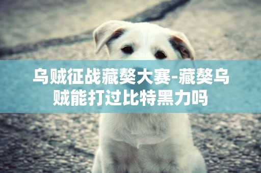 烏賊征戰藏獒大賽-藏獒烏賊能打過比特黑力嗎
