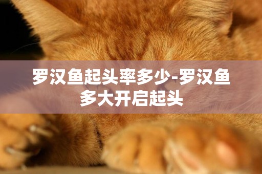 羅漢魚起頭率多少-羅漢魚多大開啟起頭