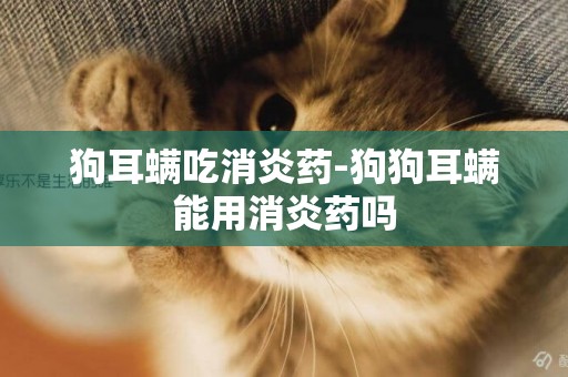 狗耳螨吃消炎藥-狗狗耳螨能用消炎藥嗎
