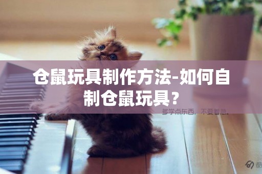 倉鼠玩具制作方法-如何自制倉鼠玩具？