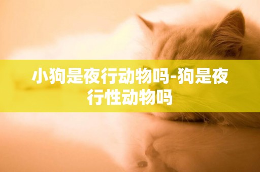 小狗是夜行動物嗎-狗是夜行性動物嗎