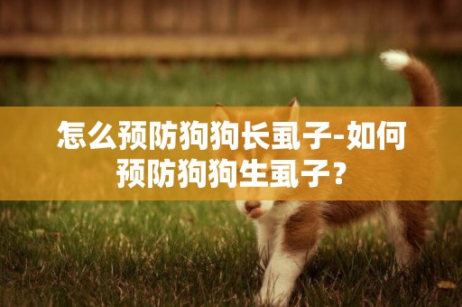 怎么預防狗狗長虱子-如何預防狗狗生虱子？