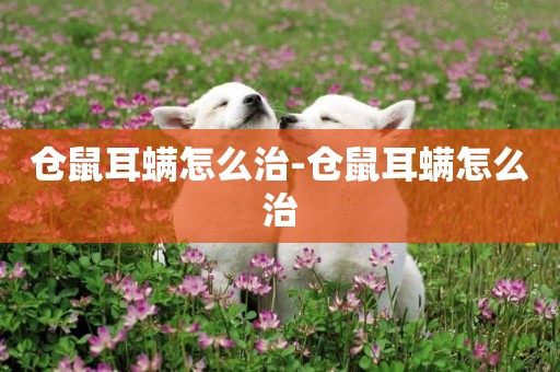 倉鼠耳螨怎么治-倉鼠耳螨怎么治