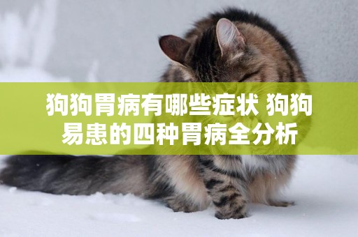 狗狗胃病有哪些癥狀 狗狗易患的四種胃病全分析