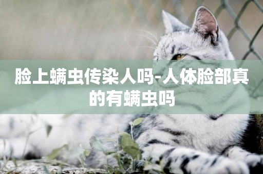 臉上螨蟲傳染人嗎-人體臉部真的有螨蟲嗎
