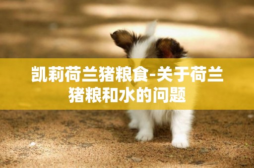 凱莉荷蘭豬糧食-關于荷蘭豬糧和水的問題