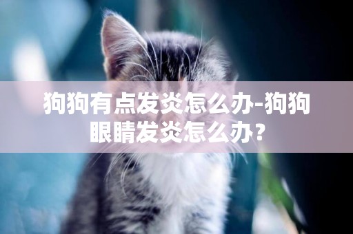 狗狗有點發炎怎么辦-狗狗眼睛發炎怎么辦？