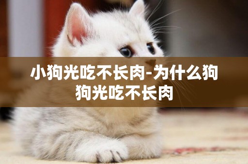 小狗光吃不長肉-為什么狗狗光吃不長肉