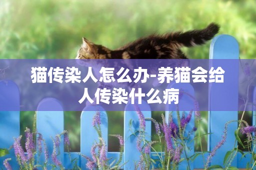 貓傳染人怎么辦-養貓會給人傳染什么病