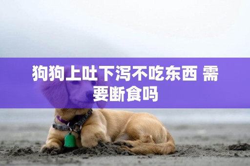 狗狗上吐下瀉不吃東西 需要斷食嗎