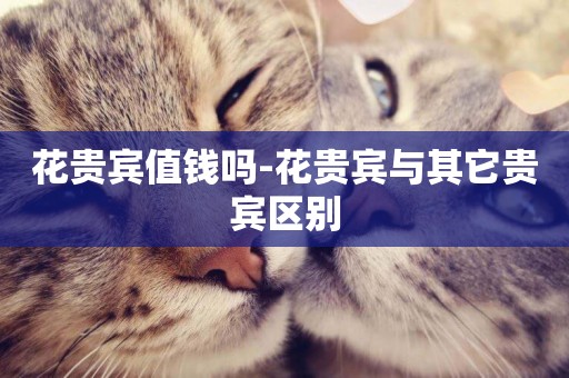 花貴賓值錢嗎-花貴賓與其它貴賓區別