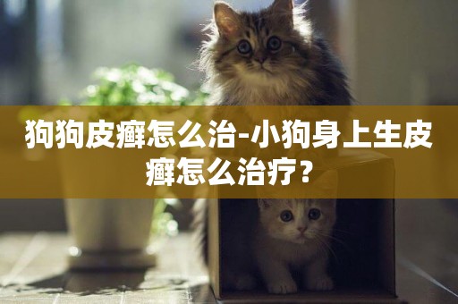 狗狗皮癬怎么治-小狗身上生皮癬怎么治療？