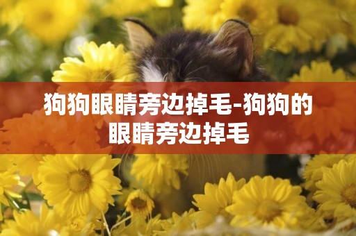 狗狗眼睛旁邊掉毛-狗狗的眼睛旁邊掉毛