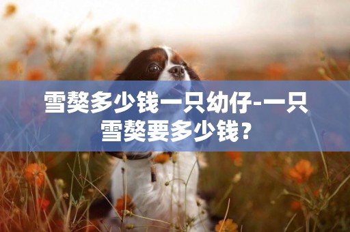 雪獒多少錢一只幼仔-一只雪獒要多少錢？