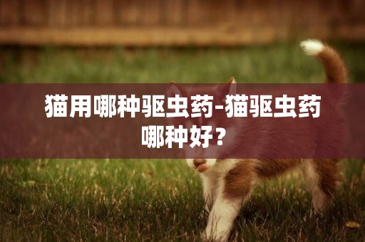 貓用哪種驅蟲藥-貓驅蟲藥哪種好？