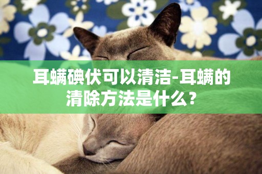 耳螨碘伏可以清潔-耳螨的清除方法是什么？