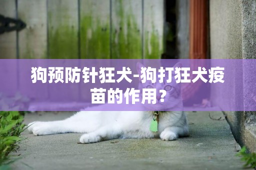 狗預防針狂犬-狗打狂犬疫苗的作用？