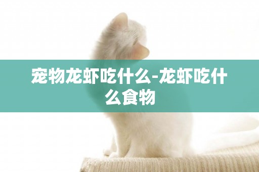 寵物龍蝦吃什么-龍蝦吃什么食物