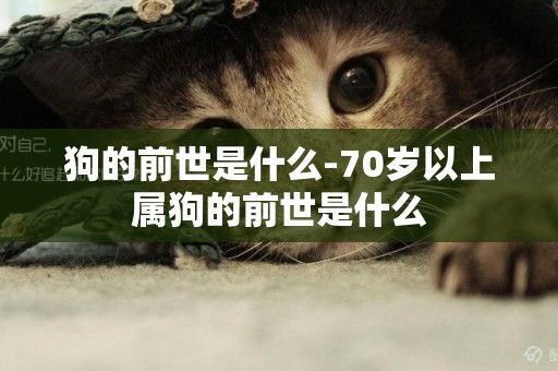 狗的前世是什么-70歲以上屬狗的前世是什么