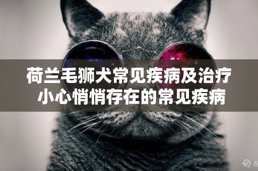 荷蘭毛獅犬常見疾病及治療 小心悄悄存在的常見疾病