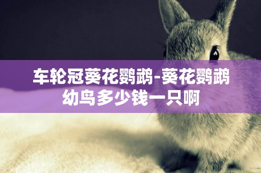 車輪冠葵花鸚鵡-葵花鸚鵡幼鳥多少錢一只啊