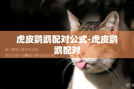 虎皮鸚鵡配對公式-虎皮鸚鵡配對