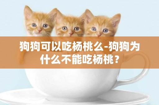狗狗可以吃楊桃么-狗狗為什么不能吃楊桃？