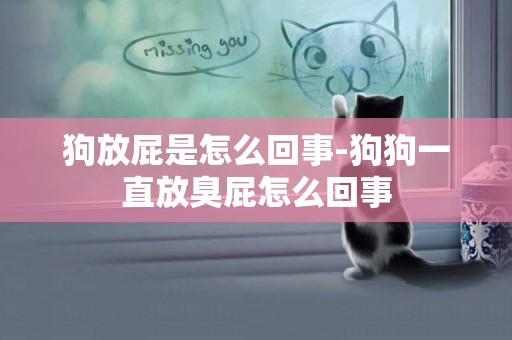 狗放屁是怎么回事-狗狗一直放臭屁怎么回事