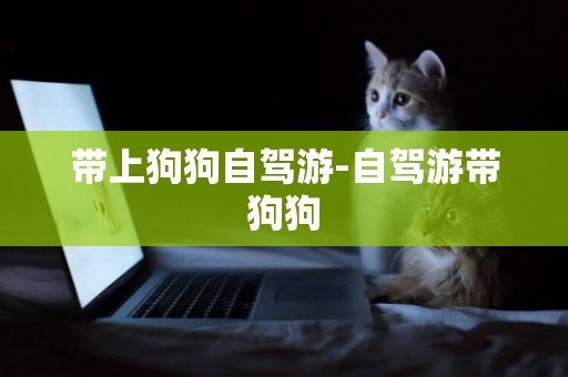 帶上狗狗自駕游-自駕游帶狗狗