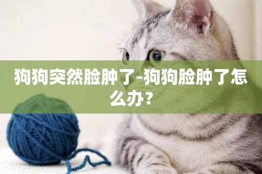 狗狗突然臉腫了-狗狗臉腫了怎么辦？