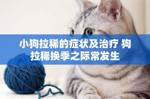 小狗拉稀的癥狀及治療 狗拉稀換季之際常發生