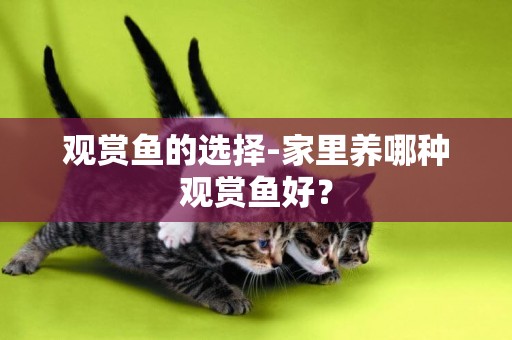 觀賞魚的選擇-家里養哪種觀賞魚好？