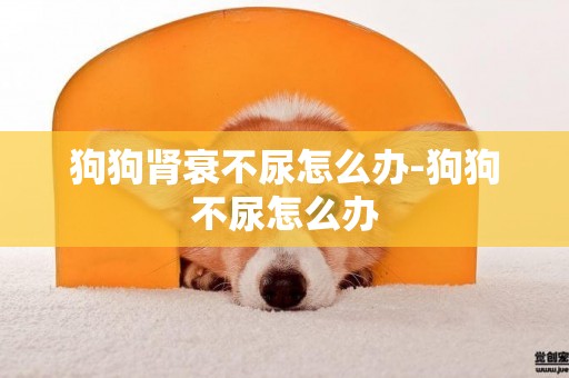 狗狗腎衰不尿怎么辦-狗狗不尿怎么辦