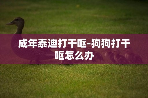 成年泰迪打干嘔-狗狗打干嘔怎么辦