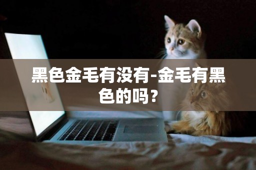 黑色金毛有沒有-金毛有黑色的嗎？