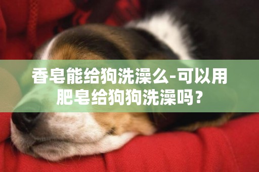 香皂能給狗洗澡么-可以用肥皂給狗狗洗澡嗎？