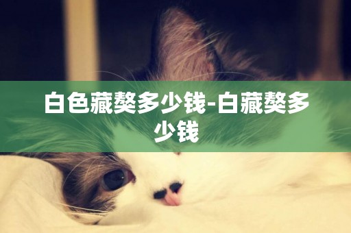 白色藏獒多少錢-白藏獒多少錢