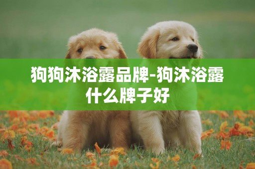 狗狗沐浴露品牌-狗沐浴露什么牌子好