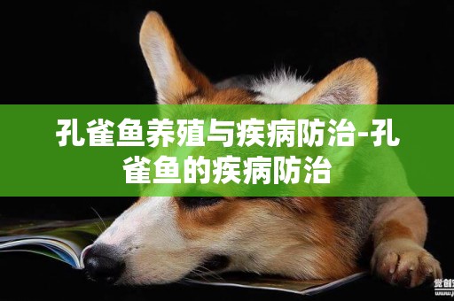 孔雀魚養殖與疾病防治-孔雀魚的疾病防治
