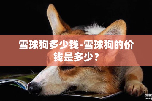 雪球狗多少錢-雪球狗的價錢是多少？
