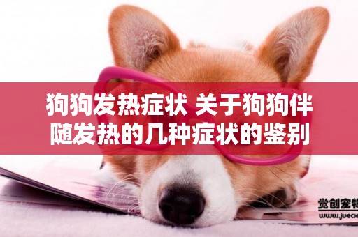 狗狗發熱癥狀 關于狗狗伴隨發熱的幾種癥狀的鑒別