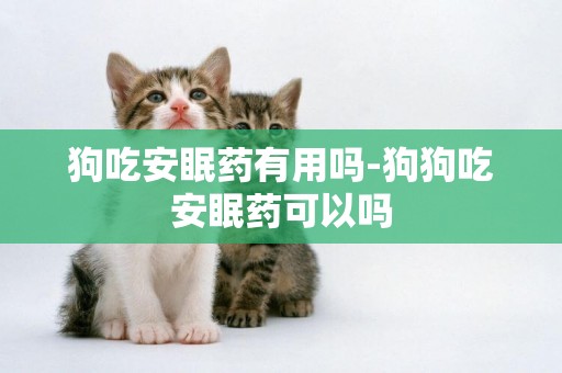 狗吃安眠藥有用嗎-狗狗吃安眠藥可以嗎