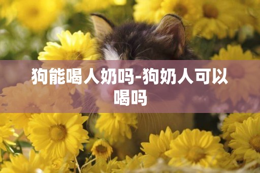 狗能喝人奶嗎-狗奶人可以喝嗎