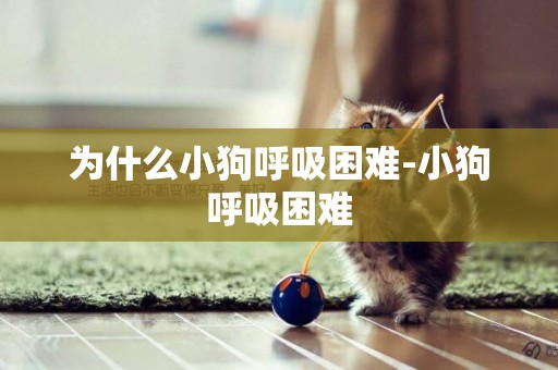 為什么小狗呼吸困難-小狗呼吸困難