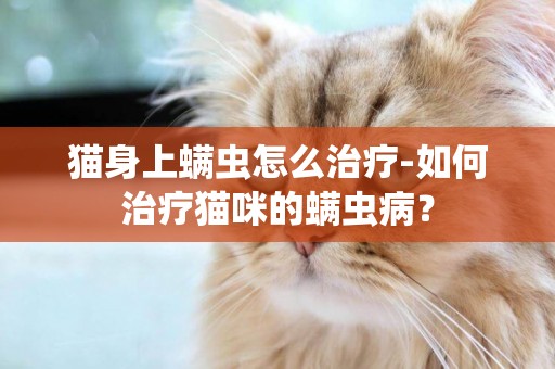 貓身上螨蟲怎么治療-如何治療貓咪的螨蟲病？