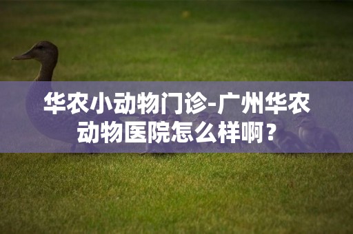 華農小動物門診-廣州華農動物醫院怎么樣啊？