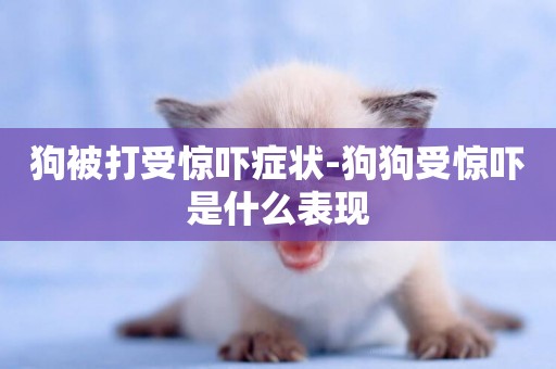 狗被打受驚嚇癥狀-狗狗受驚嚇是什么表現