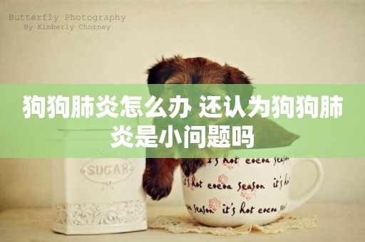 狗狗肺炎怎么辦 還認為狗狗肺炎是小問題嗎
